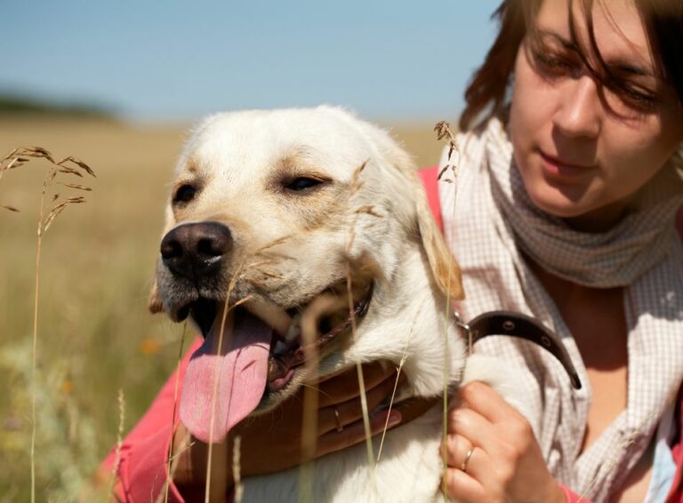 méthode-éducation-naturelle