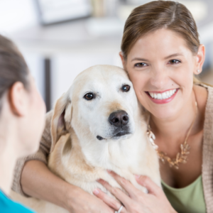 étude-comportementale-chien