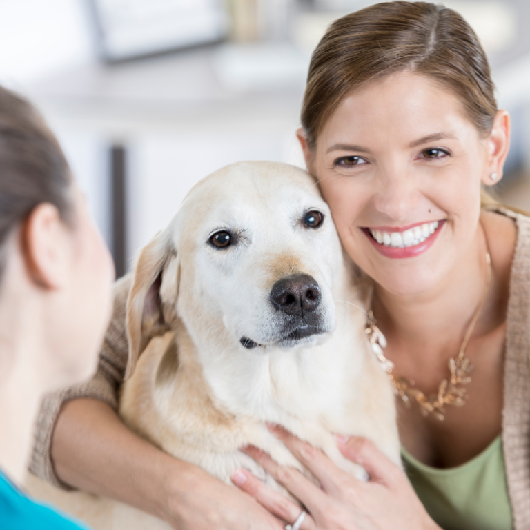 étude-comportementale-chien