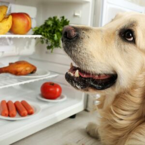 La vol d'objet et de nourriture