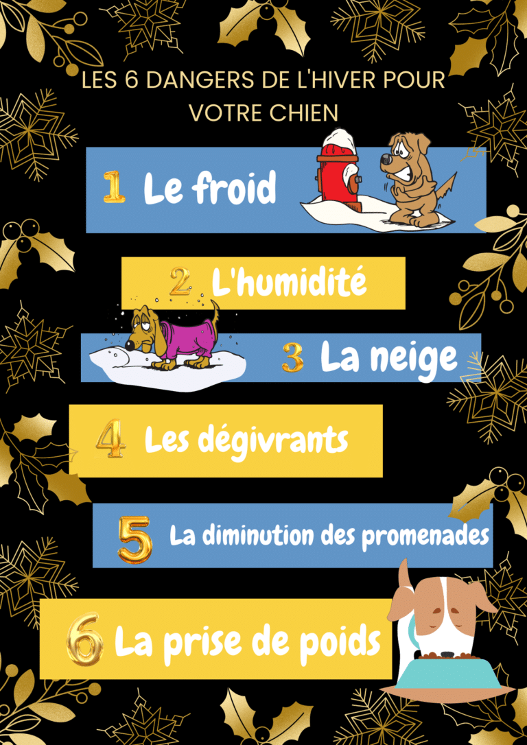 les-chiens-et-l'hiver