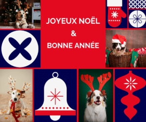 Milie Knid, éducation canine